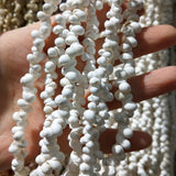 Natural Shell Necklace Snail Beads for Jewelry Making 5-6mm
