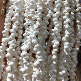 Natural Shell Necklace Snail Beads for Jewelry Making 5-6mm