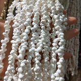Natural Shell Necklace Snail Beads for Jewelry Making 5-6mm