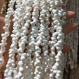 Natural Shell Necklace Snail Beads for Jewelry Making 5-6mm