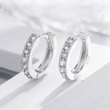 Punk Rock Jewelry 925 Silver Hoop Earrings Unisex Rhinestone Hook Ear Circle