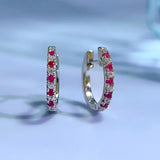 S925 Silver Diamond Earrings Ins Style