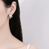 S925 Zircon Stud Earrings, 22MM, Irregular Shape, Women's Charm