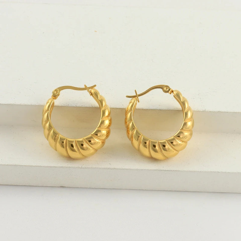 Stainless Steel Geometric Hoop Earrings 18K Plated Waterproof Jewelry