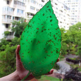 Silicone Mould Resin Leaf Coaster Tray Mold