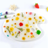 Transparent Silicone Mold Decoration for DIY Painting Board Palette