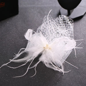 Tulle Cap Feather Birdcage Net Fascinator Veil Hairpins Hair Clips