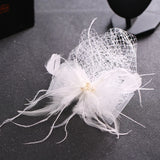 Tulle Cap Feather Birdcage Net Fascinator Veil Hairpins Hair Clips
