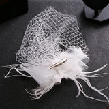 Tulle Cap Feather Birdcage Net Fascinator Veil Hairpins Hair Clips