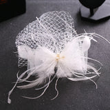 Tulle Cap Feather Birdcage Net Fascinator Veil Hairpins Hair Clips