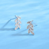 925 Silver Olive Branch Zircon Couple Gift