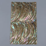Zealand Abalone Shell Sheet Mother Of Pearl Paper