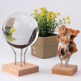 5*5 Metal Wood Base Crystal Ball Golf Ball Display Stand