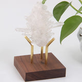 Wood Stand Crystal Ball Holder Golf Ball Displays Gemstone Holder