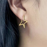 Big Star Earrings Diamond Zircon S925 Silver INS Women's Jewelry