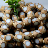 Natural 4-Sided Bodhisattva Root Bracelet 18mm
