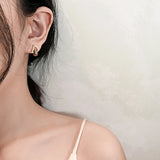 D Circle Earrings - Titanium Steel Zircon Party Earrings for Women