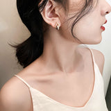 D Circle Earrings - Titanium Steel Zircon Party Earrings for Women