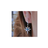 Women's Silver Zircon Hollow Star Earrings