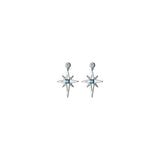 Women's Silver Zircon Hollow Star Earrings