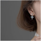 Women's Silver Zircon Hollow Star Earrings