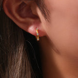 18K Plated Zircon Hoop Earrings for Women Stainless Steel