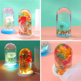 Night Light Ornament Crystal Epoxy Resin Mould Dried Flower Specimen USB Base