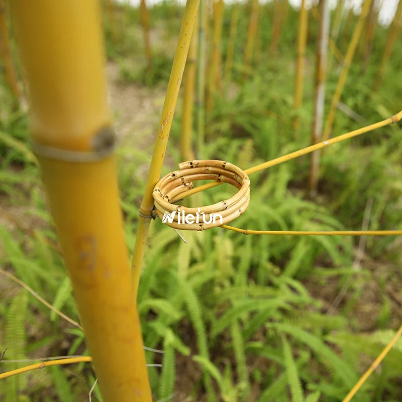 Nilerun Unisex Bamboo Root Rattan Bangle Bracelet