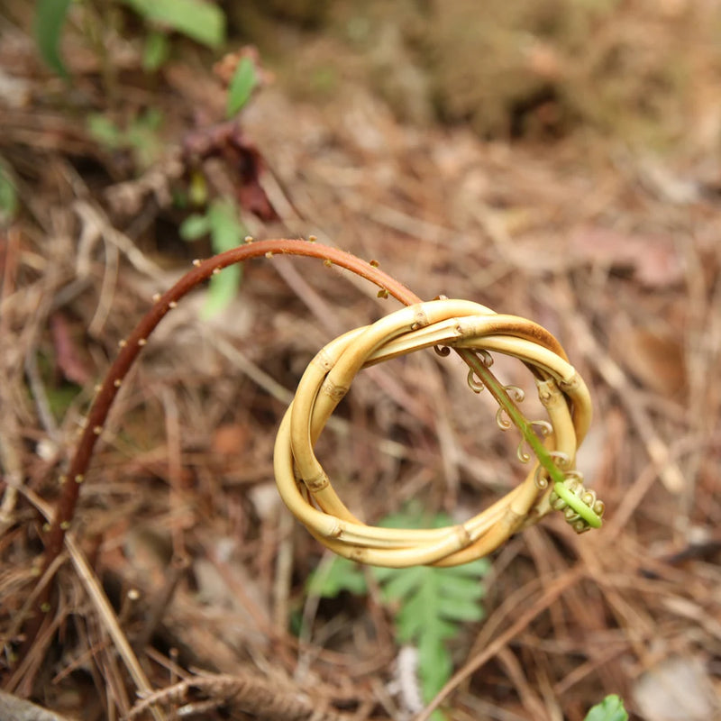 Rattan Bamboo Root Bangle Bracelet for Women Men