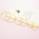 European Hot Woman Big Hoop Earrings ER163