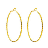 European Hot Woman Big Hoop Earrings ER163