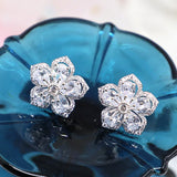 European Fine Zircon Stud Earrings