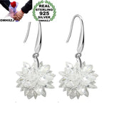 Zircon 925 Sterling Silver Drop Earrings for Wedding Gift