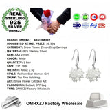 Zircon 925 Sterling Silver Drop Earrings for Wedding Gift