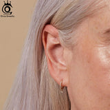 14K Hoop Earrings 925 Silver CZ Drop Earrings APE76