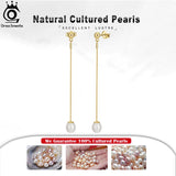 14k Plated Long Chain Pearl Earrings for Women