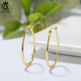 925 Silver Geometric Hoop Earrings APE53