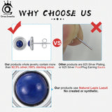925 Sterling Silver Lapis Lazuli Stud Earrings for Women