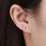 925 Silver Heart Earring 14K Plated Women Jewelry APE43