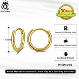 925 Silver Small Hoop Earrings Hypoallergenic Tragus Cartilage Huggie