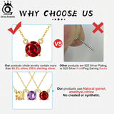 925 Silver Gemstone Necklace Amethyst Garnet Citrine Pendant for Women
