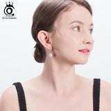 Zircon Silver 925 Long Drop Earrings for Women Wedding Gift