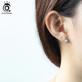 925 Silver Zircon Earrings for Women SE332