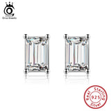925 Silver Zircon Earrings for Women SE332