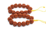 Old Rudraksha Seeds Tibetan Buddhism Bracelet