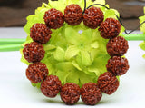 Old Rudraksha Seeds Tibetan Buddhism Bracelet