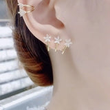 Delicate Flower Silver Pin Earrings Set