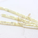 100 Pcs Dyed Shell Beads-Irregular Tube 3.5x3mm (G382)