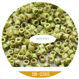 Japan Miyukidelica Beads 5G Seed Beads