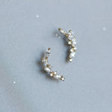 Sterling Silver Plated Osmanthus Earrings Full Diamond - Small Curved Design